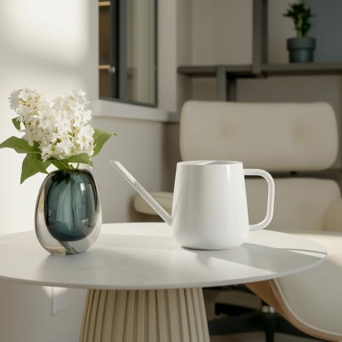 Watering Can for Indoor & Outdoor Plants, 35 oz/1000ml Watering Can with Metal Handle, Stainless Steel Garden Long Spout Watering Pot for Indoor House Plants Bonsai Flower Decorative - Image 4