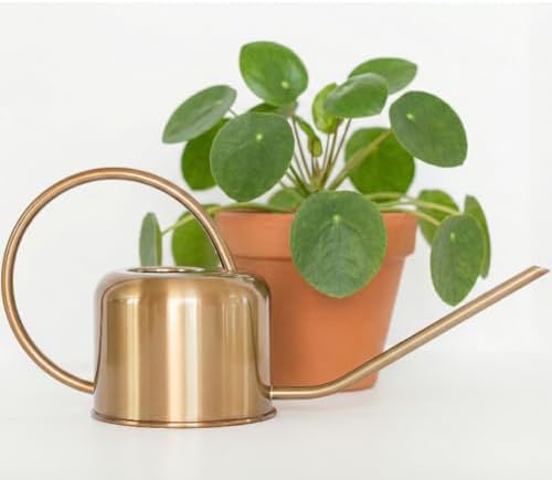 Stainless Steel Houseplant Watering Can, Brushed Gold, 1L Capacity by HouseplantResourceCenter