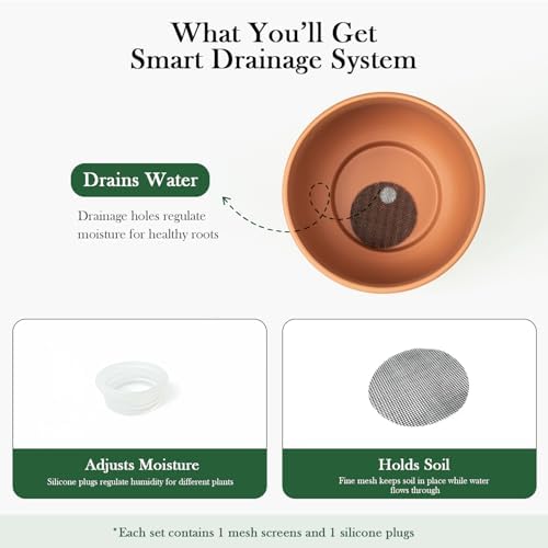 Terracotta Pots, 6 Inch Plant Pots with Drainage Holes for Indoor Plants - Image 4