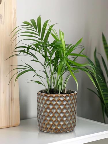 Oairse Small Ceramic Pots for Plants, 5.3 inch Brown Plant Pot Indoor with Drainage Ceramic Planters for Indoor Plants Succulent Planters Decorative Flower Pots for Cactus, Snake Plant, Herb - Image 4