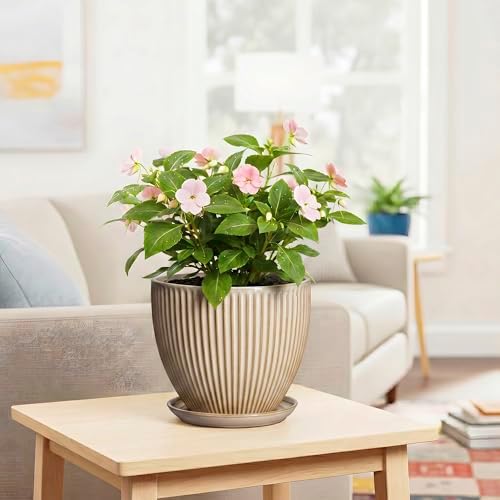 8 Inch Pots for Plants, Ceramic Planter with Drainage Hole and Saucer, Decorative Indoor Plant Pots for Snake Plants, Modern Round Flower Pot, Office House Decor, Gardening Gifts, Beige - Image 6