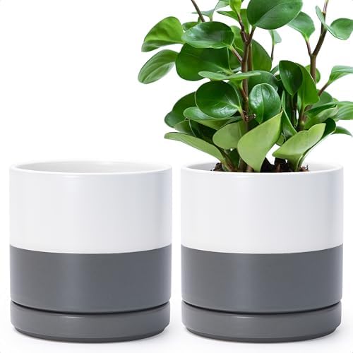 D'vine Dev 2-Pack Ceramic Pots with Saucers, White/Grey, 6.5 in, 94-V-C-6 by DvineDevPlanterPotsandStand