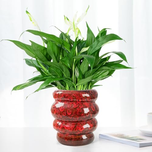 5 inch Ceramic Plant Pot Red Flower Pot for Indoor Plant with Drainage Hole - Image 2