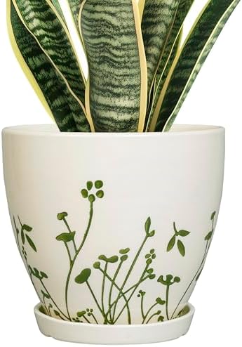 MPotTo Indoor Plant Pot 8.2 Inch - Ceramic Planter with Drainage Hole and Saucer, Boho Round Decorative Flower Pot for Indoor Outdoor Flowers, Plant Lover Gifts, Office Home Garden Patio Decor, White by MPotTo