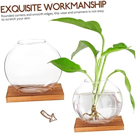 Hydroponic Glass Plant Vase with Wooden Base 5.03In Desktop Planter for Indoor Propagation Terrarium Home Office Decoration and Housewarming Gift - Image 3