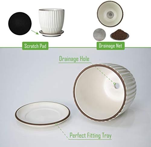 D'vine Dev 2-Pack Stoneware Planter Pots, 4.5/5.8 in, Ivory, 99-D-1 - Image 4