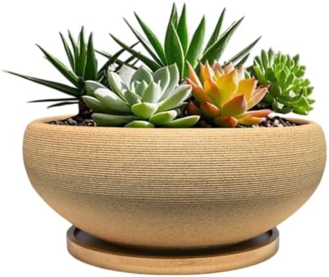 MUZHI 6 inch Succulent Pot - Unglazed Ceramic Bonsai Pot with Bamboo Tray, Rustic Pottery Cactus Planter with Drainage Hole Indoor Outdoor by MUZHI