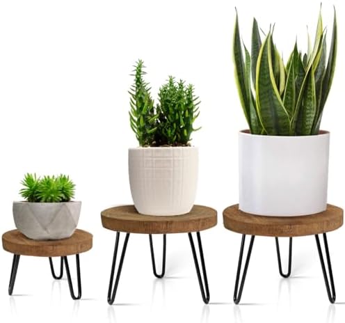 Plant Stand Indoor Outdoor, Wooden plant Stool, Mid Century Plant Stand for Indoor Plants, Wood Modern Plant Holder Rattan Flower, Low Short Boho Rustic Planter Stand Fit 5-15 Inch Pot(S,M,L) 3Pack by Welcometoobtain