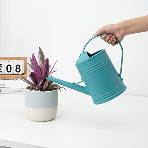 Watering Can for Indoor Plants, Flower Watering Can, Plastic Water Can for Plants, Indoor Watering Can with Sprinkler Head 68 oz, 1/2 Gallons - Image 3