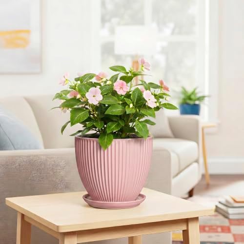 8 Inch Plant Pots Indoor, Ceramic Plant Pot for Snake Plants Flowers, Round Planters with Drainage Hole and Saucer, Decorative Modern Flower Pot, Kitchen Decor, Gifts for Plant Lovers, Pink - Image 6