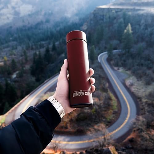 The London Sip Multi-Purpose Travel Mug and Tumbler Fruit Infused Flask Hot and Cold Double Wall Stainless Steel Thermos with Extra-Long Infuser, Sacred Red - Image 2