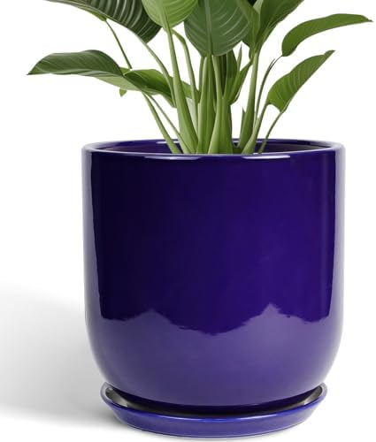 Ceramic Planter - 12 Inch Pots for Plants Ceramic Plant Pot Indoor with Drainage Hole and Saucer Large Planter Flower Pot Outdoor for Home Garden Decor Blue by SUNPOTFOR
