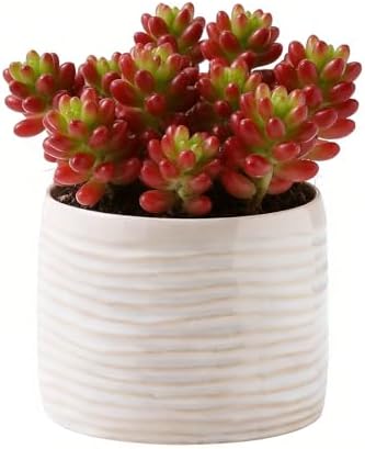 Plant Flower Pot, Small Ceramic 5" Modern Flower Pots for Home Office Indoor Outdoor Planters, Planter for Orchid Succulent Cactu Floral, Handmade Ceramic Vase (Without Drainage) by JINNTHE