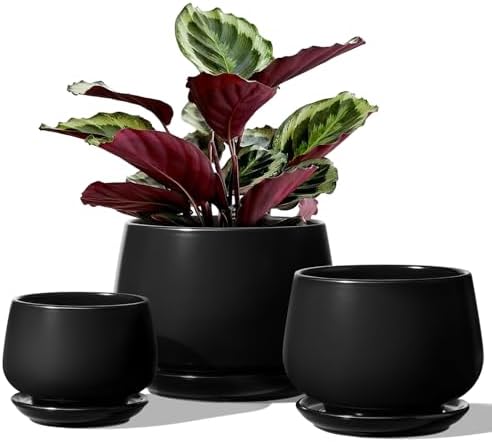LE TAUCI Plant Pots, 4.1+5.1+6.5 inch, Set of 3, Ceramic Planters with Drainage Hole and Saucer, Indoor Flower Pot with Hole Mesh Pad, Gifts for Mom, Black by LETAUCI