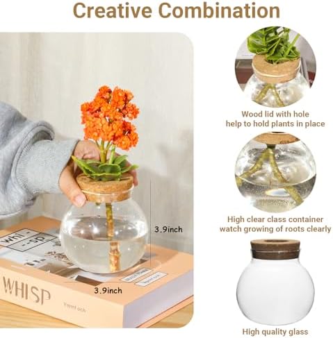 Plant Propagation Station,Hydroponic Terrarium Vase,Desktop Glass Planter Station,for Houses,Garden Decorations,ropagating Hydroponic Plants,Centerpiece Office,Home Garden Decor (2) - Image 2