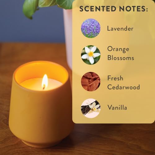 Modern Sprout Soy Candle Planter - Grows Lavender - Cedarwood Scent - 6 oz - Image 6