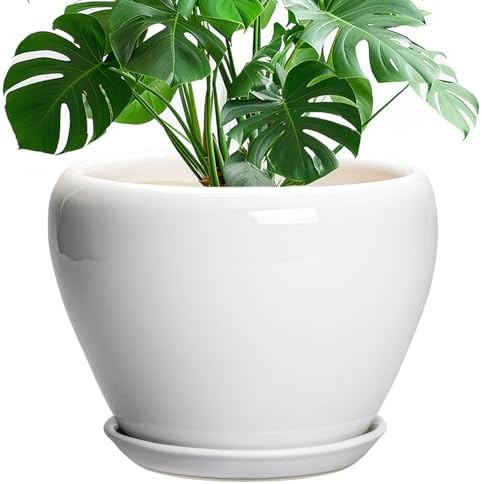 Ceramicfor Ceramic Pot for Plants - 10 Inch Planter with Drainage Hole and Saucer, Glaze Modern Round Flower Pot for Indoor Plants, Housewarming Gift, Home Decor, White by Ceramicfor