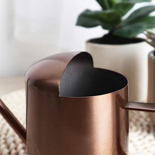 Mini Watering Can, 10oz/300ml Stainless Steel Long Spout Small Watering Can for Indoor Plants Succulents, Herbs (Bronze) - Image 4