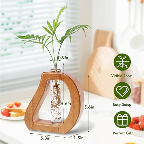 Glass Test Tube Plant Propagation Terrarium Station - Image 2