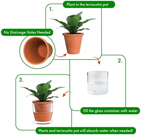 D'vine Dev Self Watering Terracotta Planter Pot, 4 in, 2-Pack, 37-Y-A-1 - Image 4