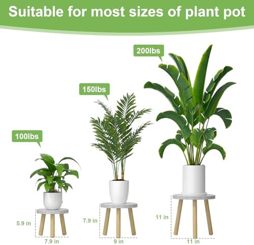 3-Pack Wood Plant Stands Indoor, Single Plant Stand for 6-12 Inch Pots, Mid-Century Modern Plant Stool, Tall Plant Stand for Large Plants for Living Room, Balcony, Office (White) - Image 3