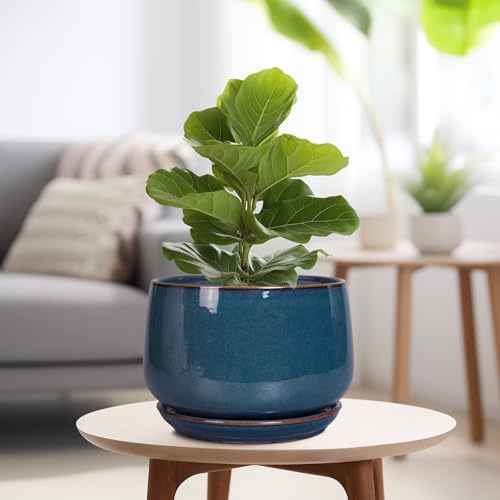 G EPGardening Ceramic Plant Pots - 9 Inch Round Modern Planter Indoor with Drainage and Tray for Indoor Outdoor Flower, Office Decor, Gardening Gifts, Retro Blue - Image 4