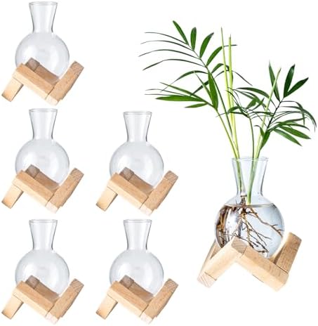Propagation Stations, Propagation vases with Wooden Stand, Small Tabletop Glass Bulb Vases for Hydroponics Plant Propagation Station Home Office Decoration, Gift for Women Plant Lovers (6) by wangsdjy