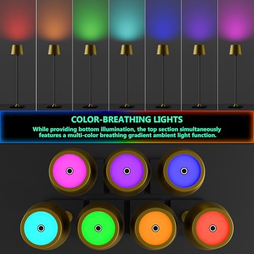 Timjorman Compact Cordless Table Lamp, Rechargeable LED Night Light, Dual Light Source (RGB Top & Warm Bottom), Touch Control & Timer, Metal Lamp for Bedroom & Kids Room (Antique Brass & Black) - Image 5