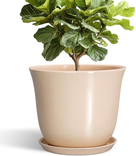 Ceramic Plant Pots, 12 Inch Plant Pot with Drainage, Beige by SUNPOTFOR