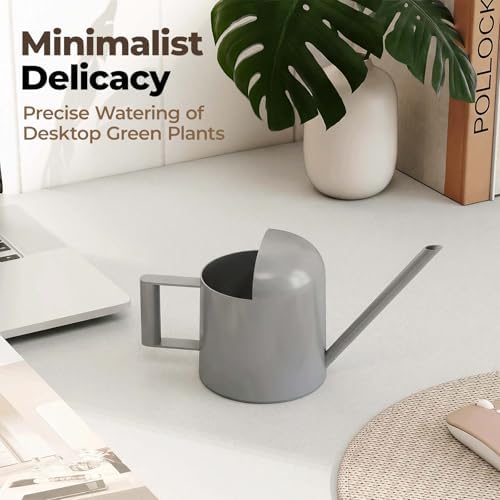 Bamworld Small Watering Can Indoor Outdoor Plant Black Metal Stainless Steel Long Spoutt Flowers Watering Cans for House Garden Plants 10OZ Watering Bottle Cute Stylish Gardening Decoration(Grey) - Image 3