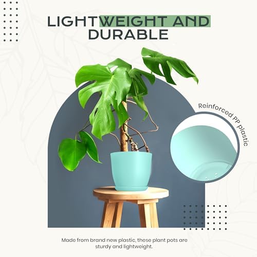 Plant Pots Indoor with Drainage, 10 Pack Multi-Size Planters Set, Aqua - Image 6