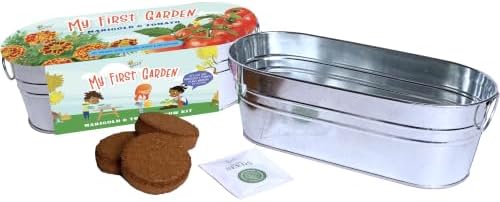 Buzzy Seeds My First Garden Grow Kit, Metal Planter, Tomato & Marigold - Image 4