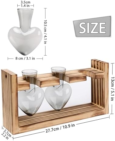 Plant Terrarium Propagation Stations Hydroponics - Image 4