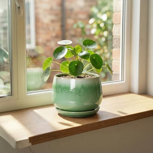 6 Inch Planter, Ceramic Plant Pots for Indoor Plants, Green - Image 3