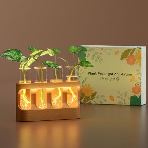 Plant Propagation Station with Wooden Stand, Gardening Gifts for Mom Women Plant Lovers, 9-Level Dimmable LED Light 4 Glass Test Tubes Vases for Hydroponic Plants - Desktop Terrarium for Desk Decor by LIGHTALENT