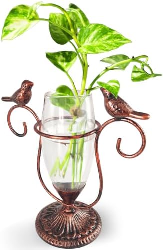 Desktop Plant Propagation Station, Plant Terrarium with Metal Stand by POXOHO
