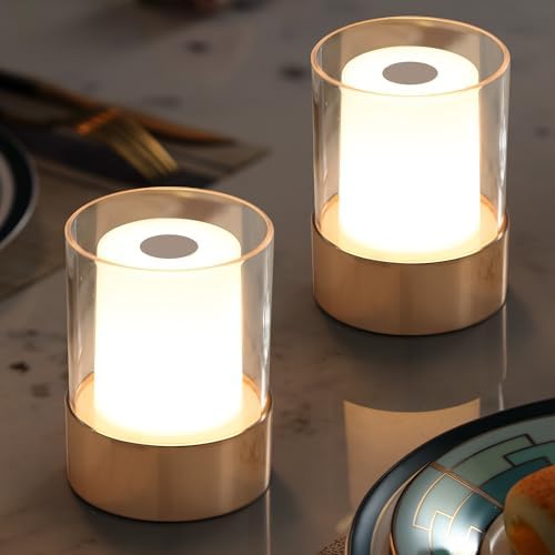 4" Gold Cordless Table Lamp 2 Pack, Outdoor Rechargeable Lamp by NEWSEE