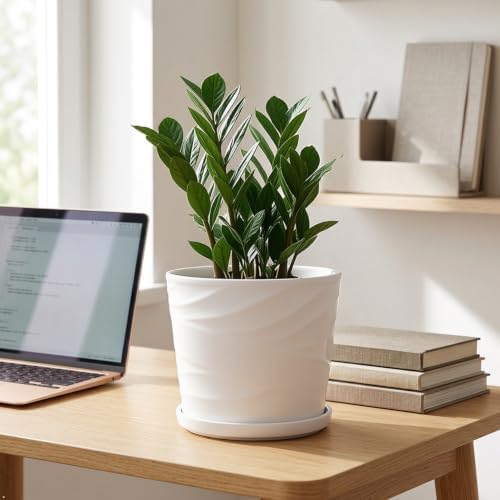 8 Inch Ceramic Plant Pot, White - Image 7