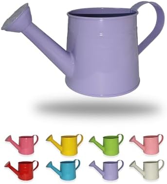 Small Watering Can for Indoor Plants, Purple, 1L by Unknown