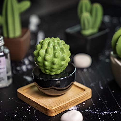 Frank Cactus, Non-Electric Ceramic Diffusers for Essential Oils and Aromatherapy Fragrance, White Ceramic Diffusers in Car or Desk Office Decor and Small Bathroom at Home, Black vase - Image 6