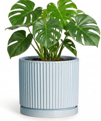 Ceramic Planter, 8 Inch Flower Pots, Round Plant Pot, Light Blue by Unknown
