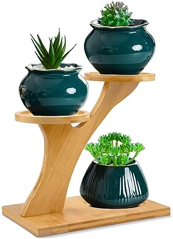 XXXFLOWER Glass Plant Mister Spray Bottle Green+Bamboo Plant Stand,3 Tiers Indoor Succulent Windowsill Shelf - Image 6