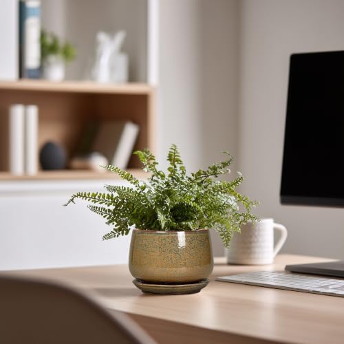 G EPGardening Ceramic Pots for Plants, 4 Inch, Speckled Brown - Image 7