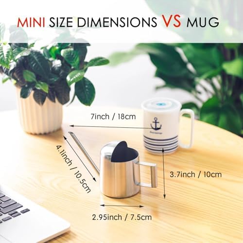 IMEEA Mini Watering Can for Succulents & Bonsai Tiny Stainless Steel Indoor Plant Watering Can with Long Spout for Small Desk Plants, 11oz/300ml - Image 2