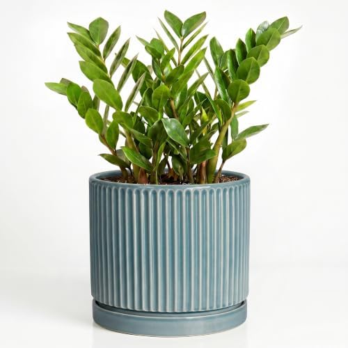 Ceramic Planter 10 Inch, Round Plant Pots with Saucer, Glaze Blue by Unknown
