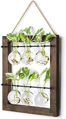 Mkono Plant Propagation Station, Wall Hanging 2-Layer Glass Terrarium Vases by Mkono