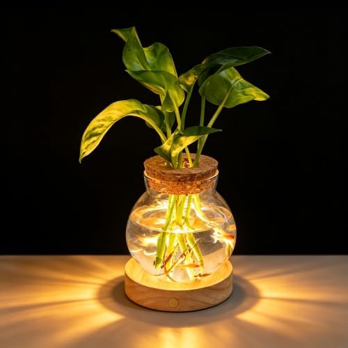 Plant Propagation Station with Light,Everkeen Valentines Day Glass Terrarium with Stepless Dimming Function Hydroponic Glass Container Vase Jars Gardening Gifts for Mom Women Plant Lovers by WelcometoEverkeen