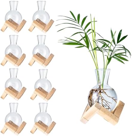 Propagation Stations, Propagation vases with Wooden Stand, Small Tabletop Glass Bulb Vases for Hydroponics Plant Propagation Station Home Office Decoration, Gift for Women Plant Lovers (9) by wangsdjy
