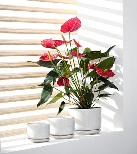 Ceramic Planters,Plant Pots with Saucers Set of 3(Reactive Glaze White) - Image 4