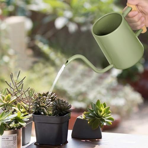 Watering Can Indoor Plants, 35 oz/1000 ml Metal Stainless Steel Watering Can Pot with Long Spout for Indoor House Plants Bonsai Outdoor Garden Flower Decorative (Sage Green) - Image 2